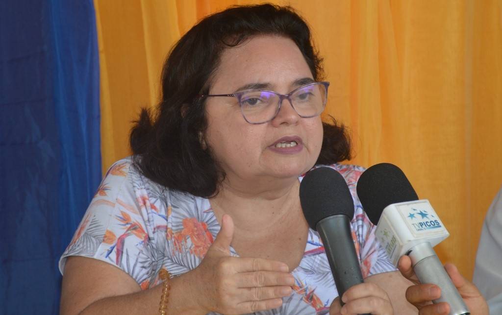 Representante da Seplan Patrícia Castro 