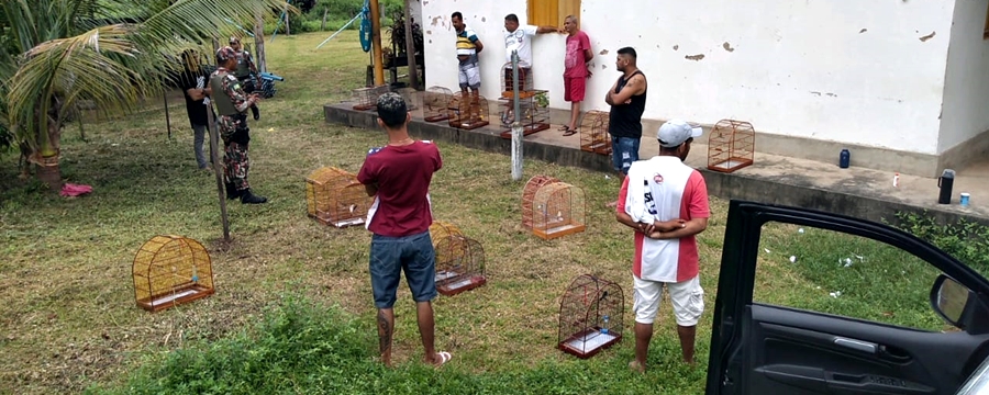 Fazenda Santa Rosa