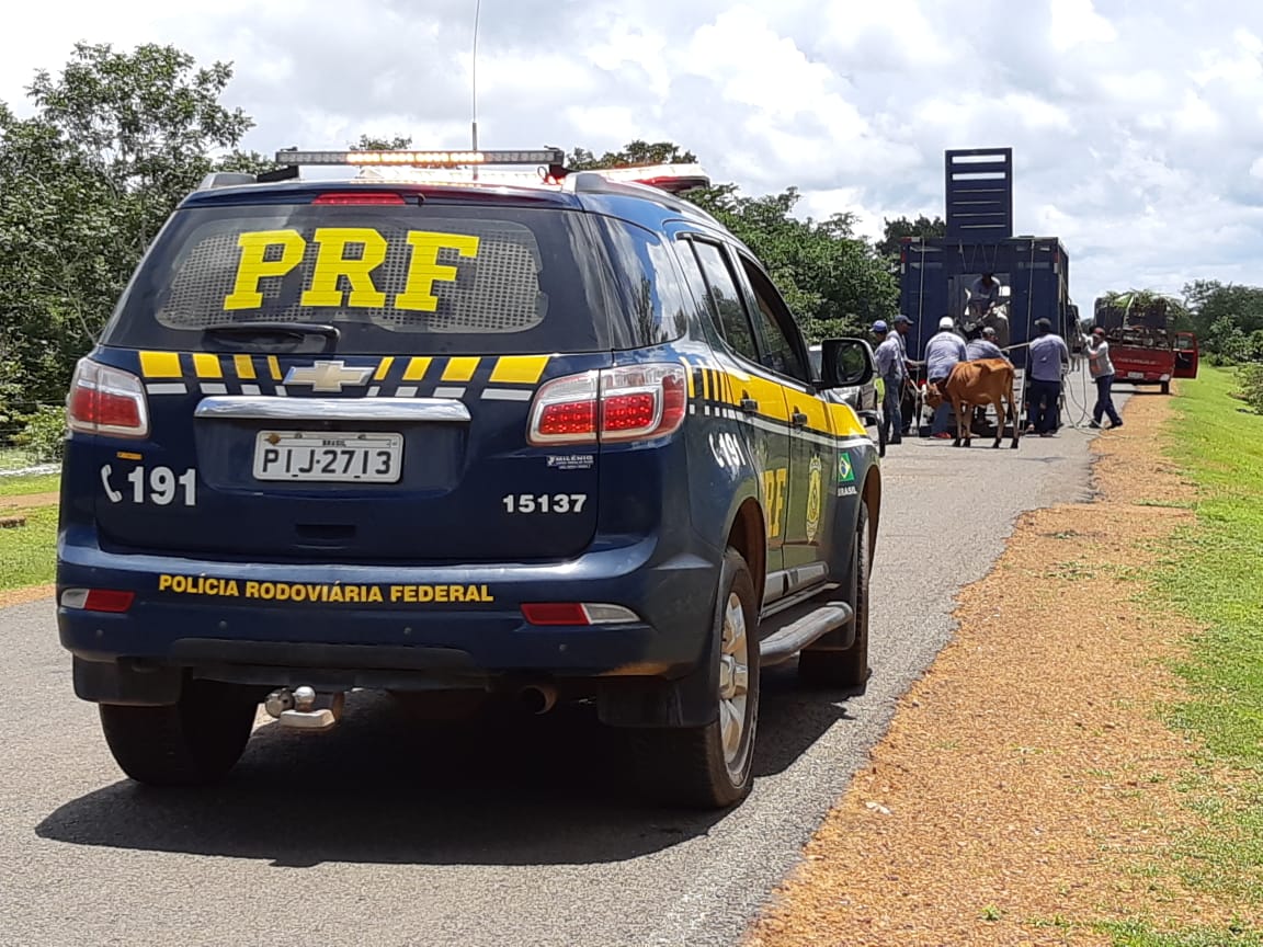 Ação da PRF nas rodovias estaduais