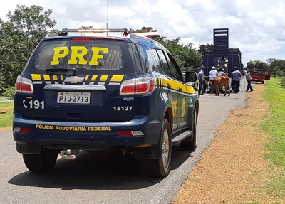 Ação da PRF nas rodovias estaduais