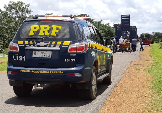 Ação da PRF nas rodovias estaduais