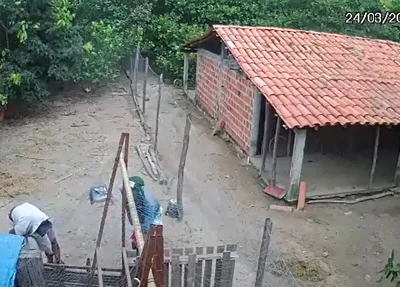 Suspeitos roubam galinha em Castelo do Piauí