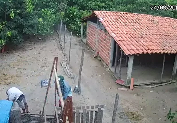 Suspeitos roubam galinha em Castelo do Piauí