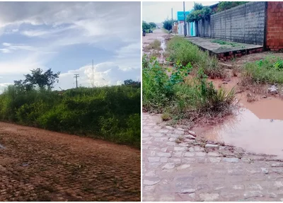 Matagal e ruas no Vale do Gavião