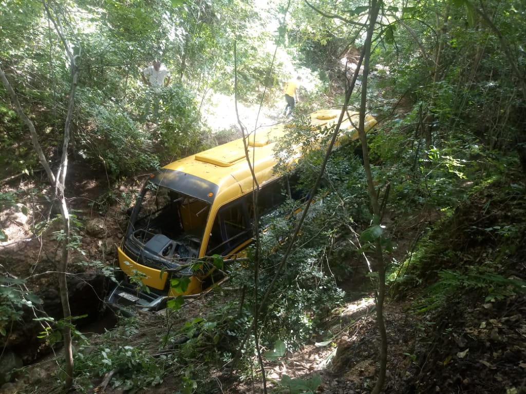 Ônibus foi arrastado para dentro da mata