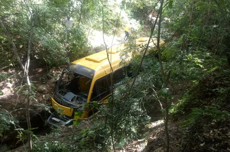 Ônibus foi arrastado para dentro da mata