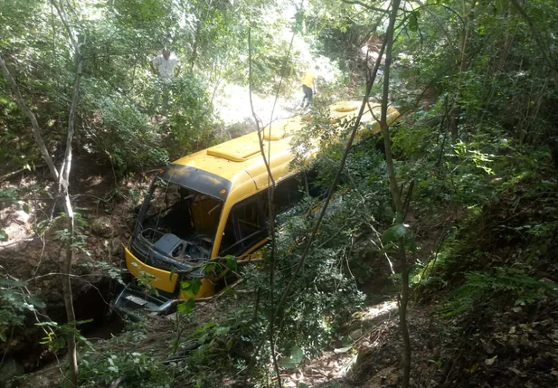 Ônibus foi arrastado para dentro da mata