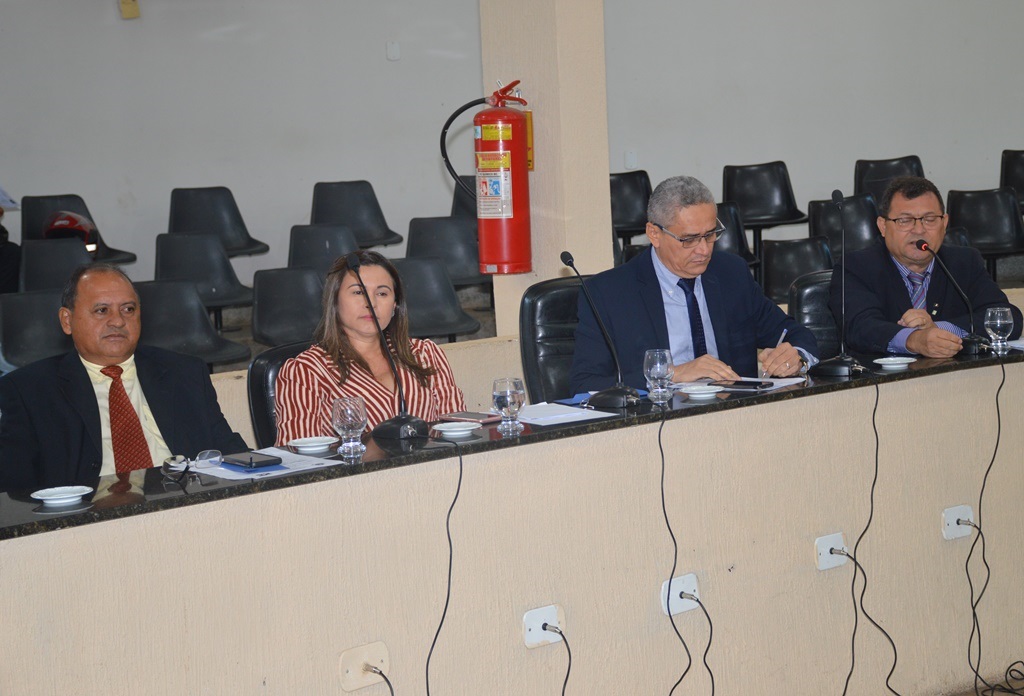 Parlamentares ligados politicamente ao deputado Nerinho