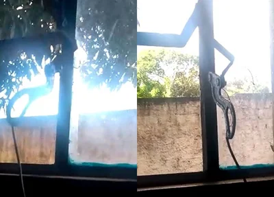 Fio descascado em escola de Nazária