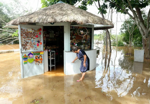Dona lúcia mostrando onde chegou o nível da água