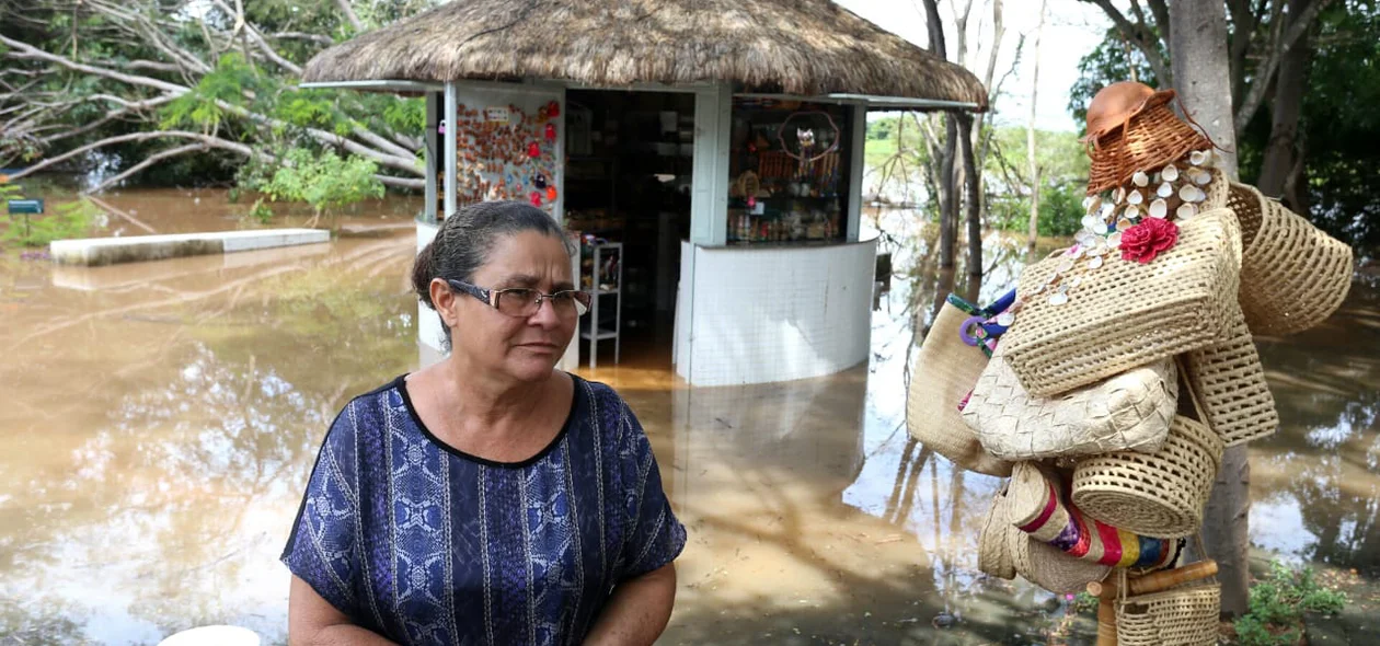 Lúcia Matos 