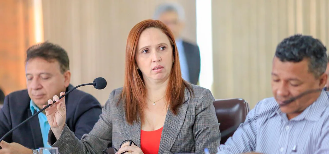 Viviane Moura, Superintendente de PPPs do Piauí