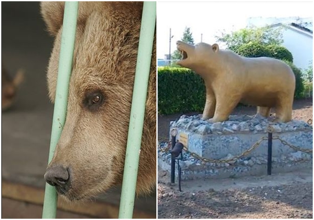 A ursa foi homenageada com uma estátua no presídio