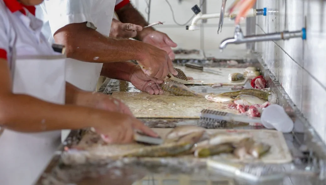 Semana santa traz aumento na venda de peixes