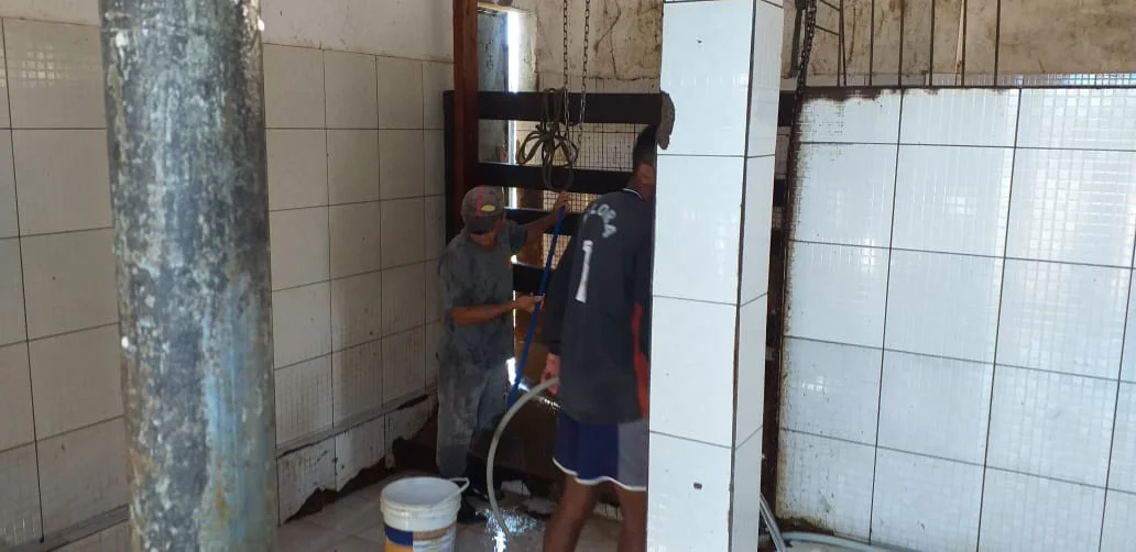 Proprietários de frigoríficos fazem mutirão para limpar e higienizar matadouro