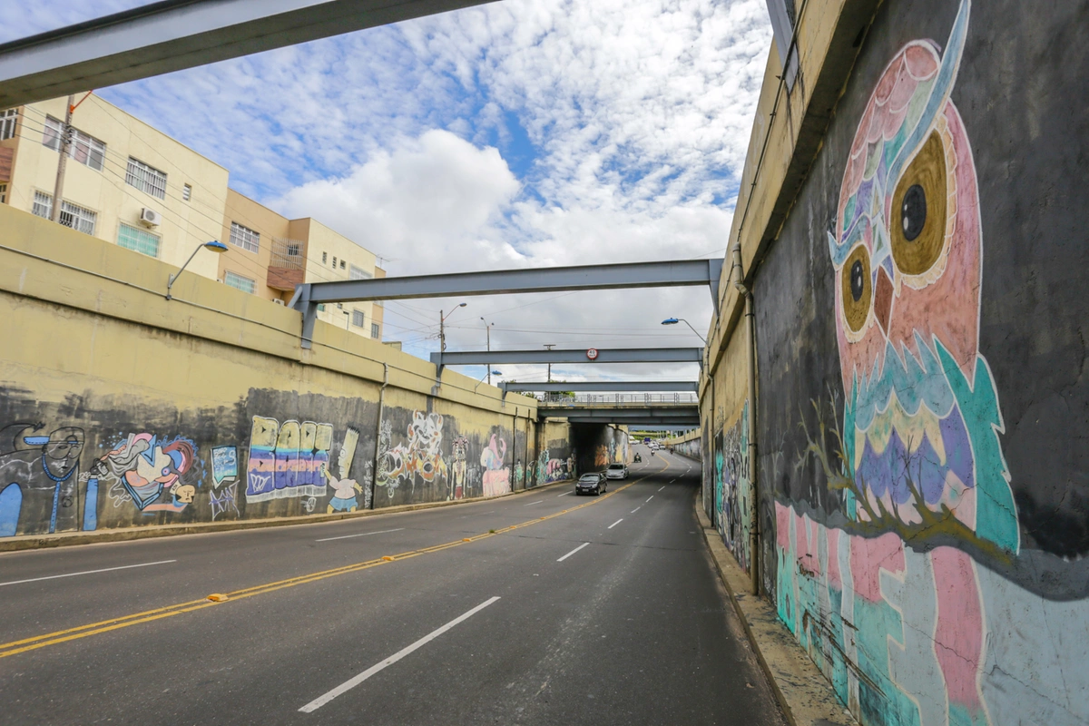 Viaduto da Higino Cunha 