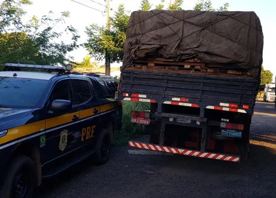 Caminhão apreendido com madeira ilegal pela PRF