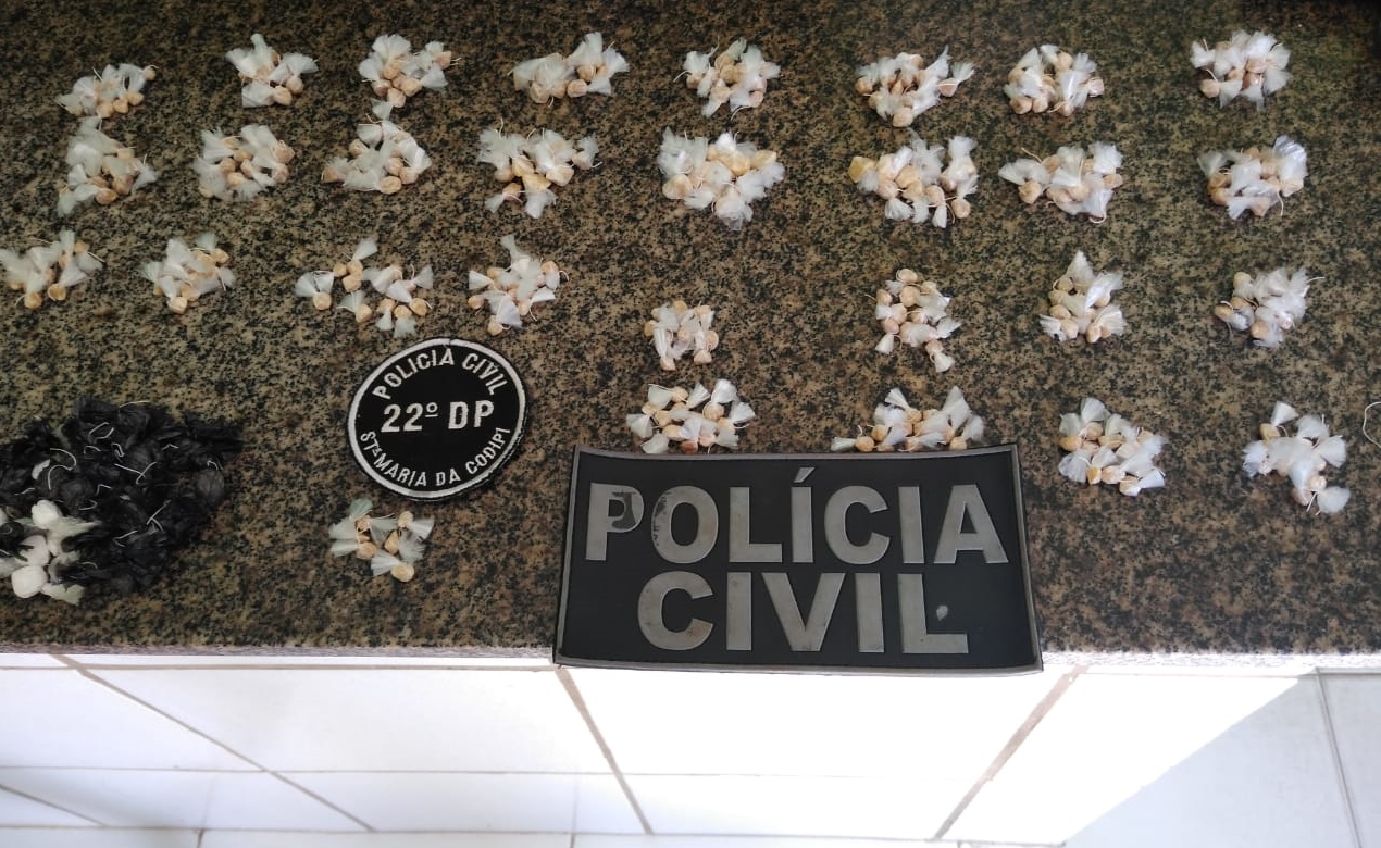 Grande quantidade de droga apreendida pelos policiais do 22º DP
