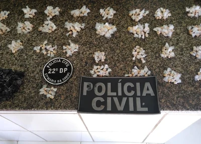 Grande quantidade de droga apreendida pelos policiais do 22º DP