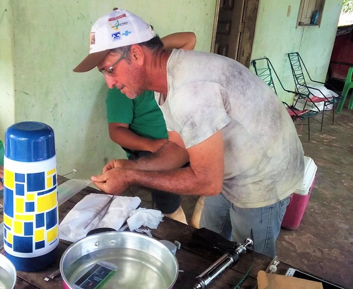 SMA promove o primeiro curso de inseminação artificial em bovinos de Joaquim Pires 