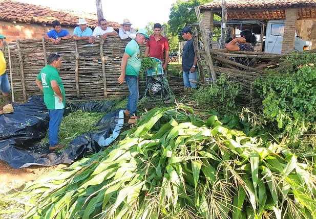 Senar realiza curso de silagem