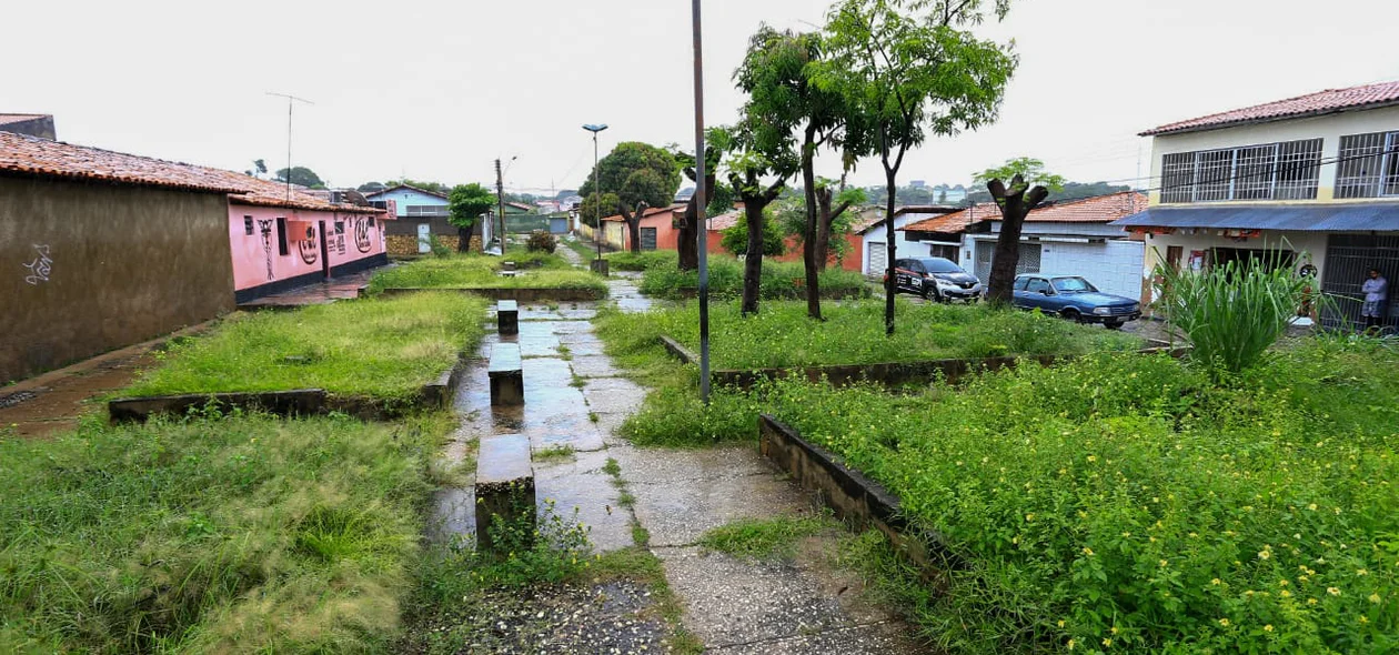 Mato toma a praça Gentil Macedo 