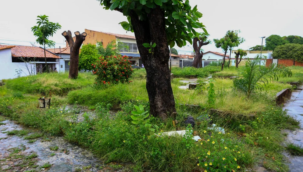 Praça Gentil Macedo é moradia de ratos e cobras