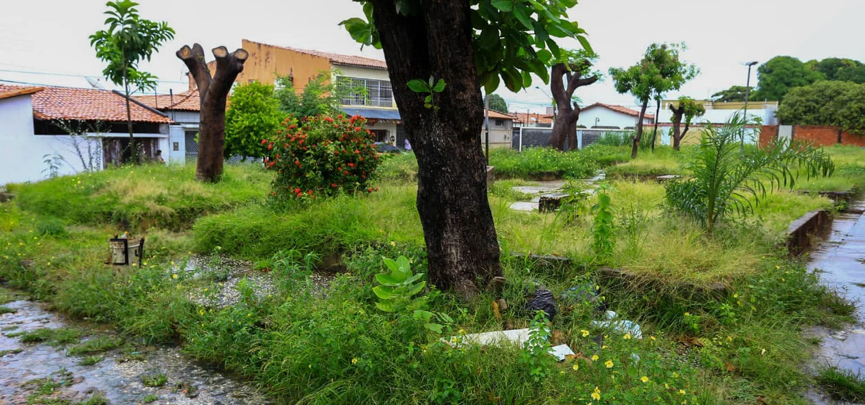 Praça Gentil Macedo é moradia de ratos e cobras