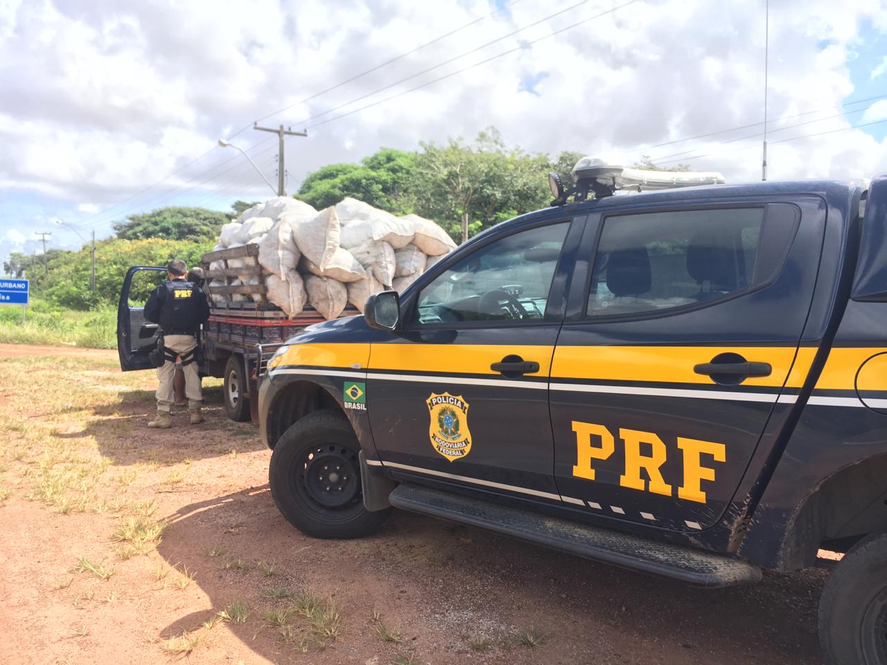 PRF apreende carvão vegetal