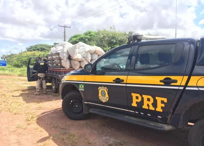 PRF apreende carvão vegetal