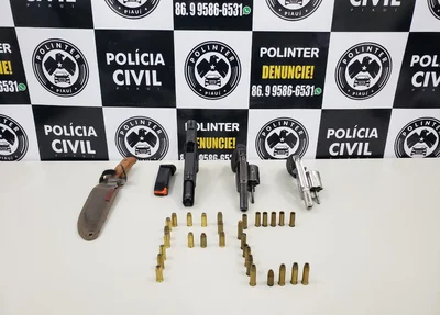 Armas apreendidas