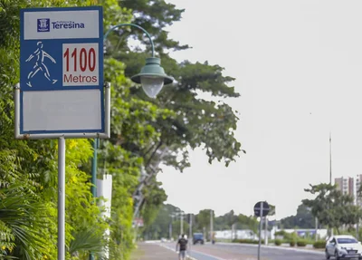 Avenida Raul Lopes
