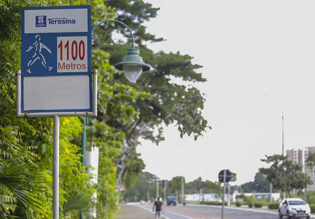 Avenida Raul Lopes