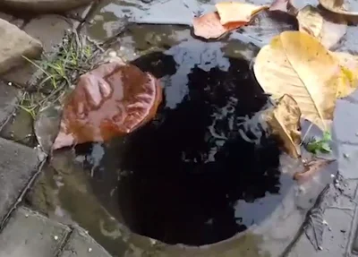 Leitor flagra desperdício de água potável na zona sul de Teresina