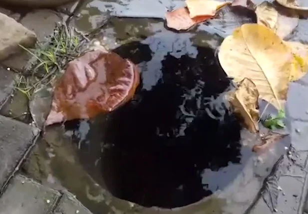 Leitor flagra desperdício de água potável na zona sul de Teresina