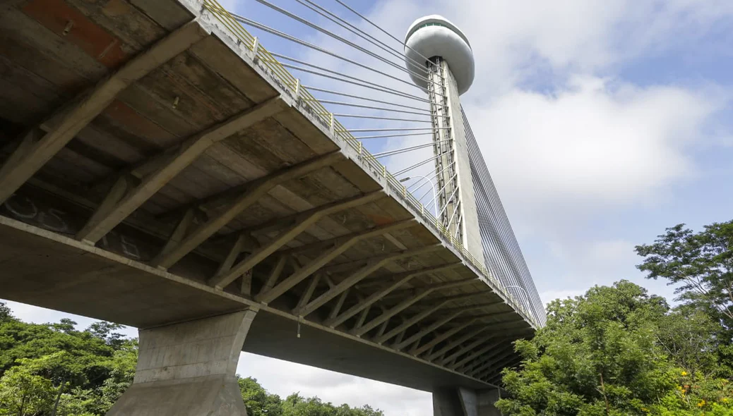 Ponte Estaiada