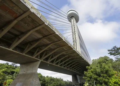 Ponte Estaiada