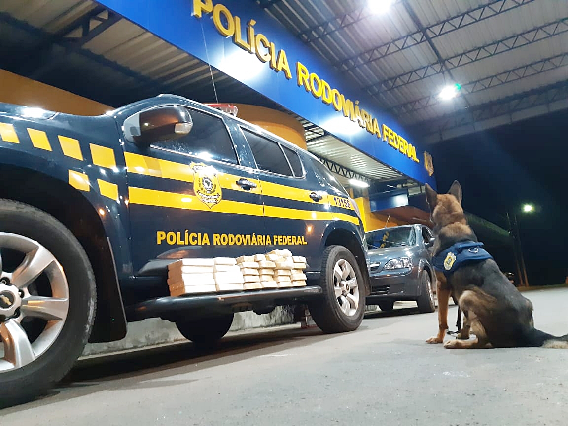 Droga avaliada em R$ 1,3 milhão