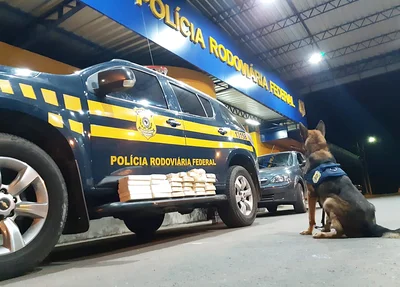 Droga avaliada em R$ 1,3 milhão