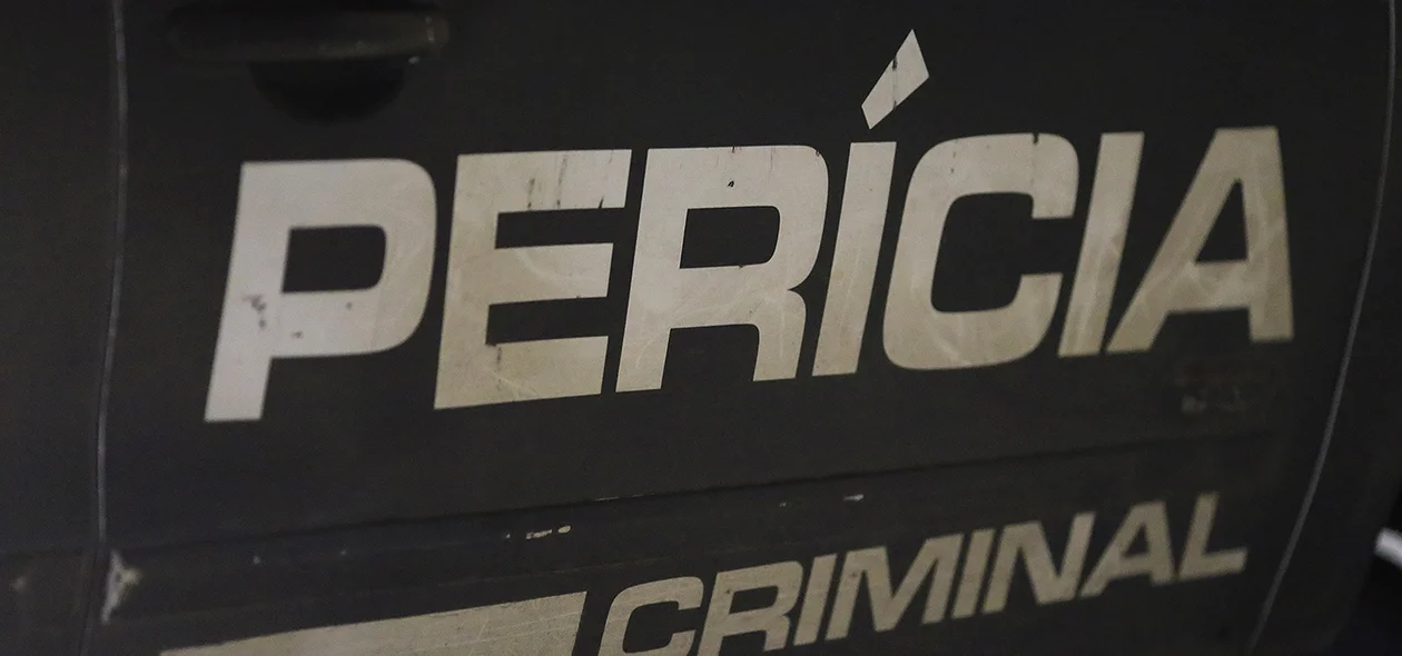 Perícia Criminal 