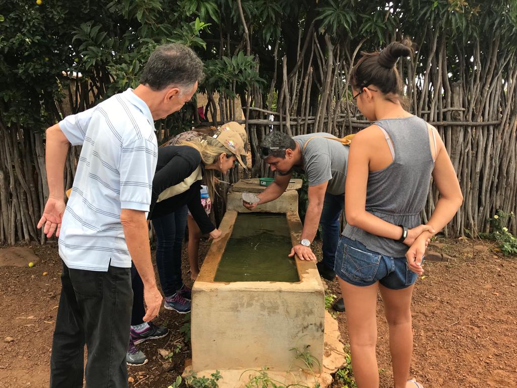 Picos realiza multirão de combate ao mosquito aedes aegypti