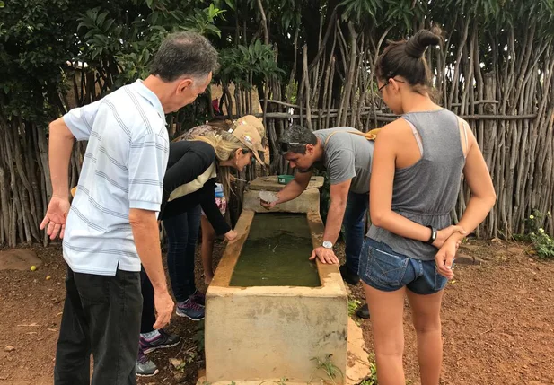 Picos realiza multirão de combate ao mosquito aedes aegypti
