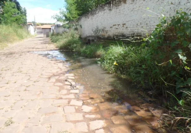 Mato e água parada em rua de Bertolínia