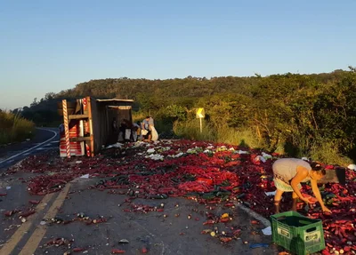 Caminhão com verduras tomba na BR 343 em Altos