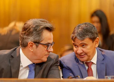 Ciro e Wellington Dias