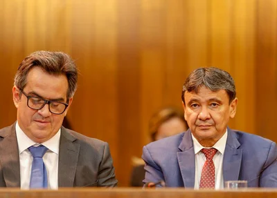 Ciro Nogueira e Wellington Dias 