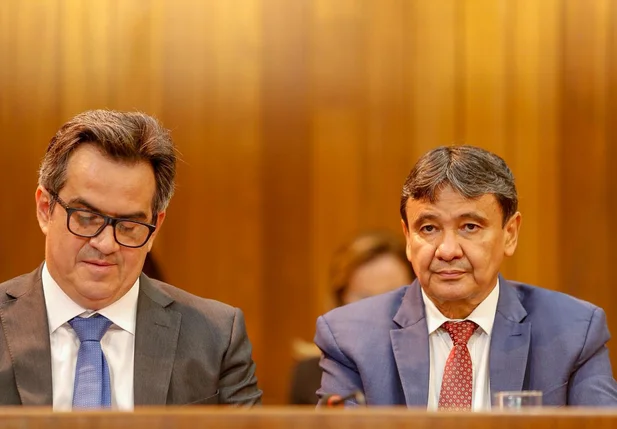 Ciro Nogueira e Wellington Dias 