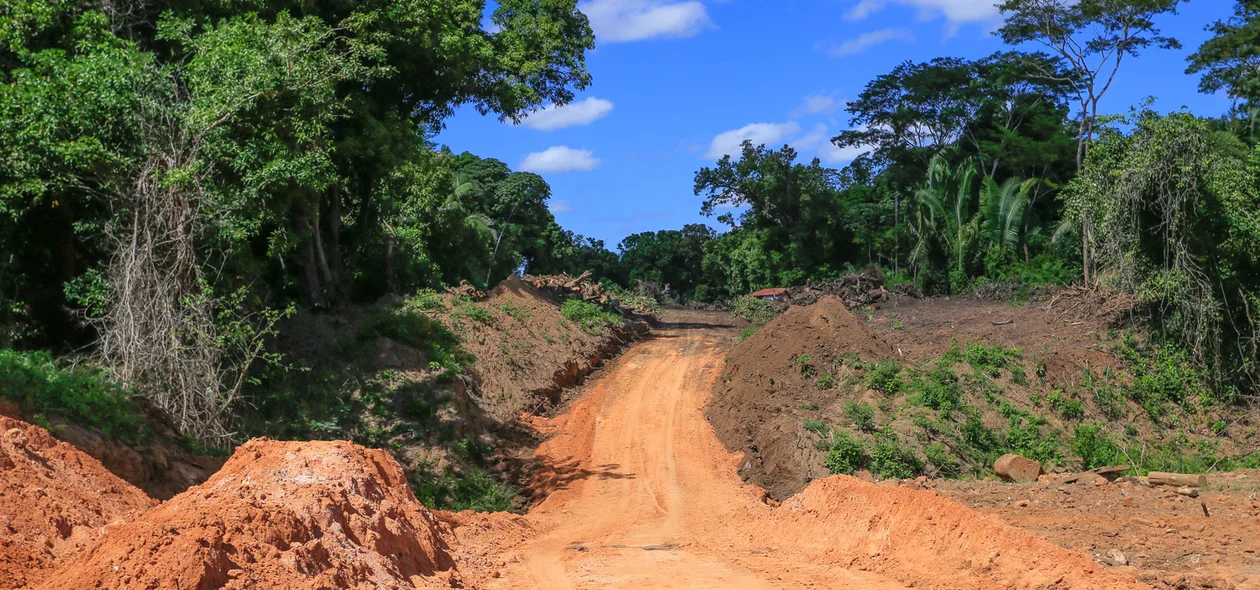 Marginal sul sendo construída