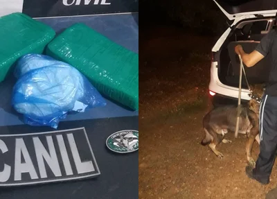 Com ajuda de cães farejadores, Polícia Civil apreende 2,4 kg de cocaína