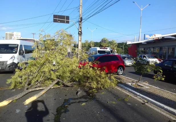 Colisão entre veículos na Avenida João XXIII
